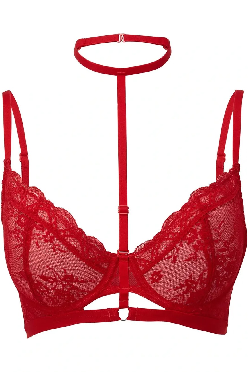 Burgundy Lace Bra, Sheer Bra, Red Bra, Lace Lingerie, See Through Bra, Lace  Bra, Sexy Bustier -  Canada